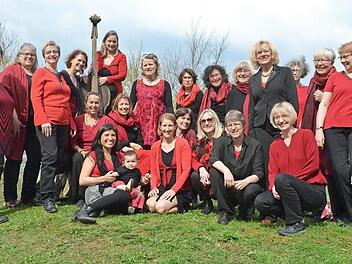 Der Erlanger Frauenchor, das sind etwa 30 sangesfreudige Frauen aus Erlangen und Umgebung.  Foto: PR