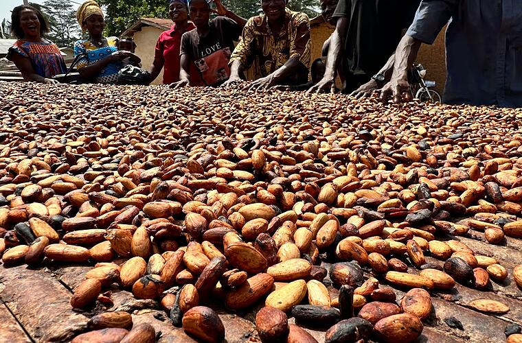 Kakaopreis sinkt - Wird Schokolade jetzt wieder billiger?
