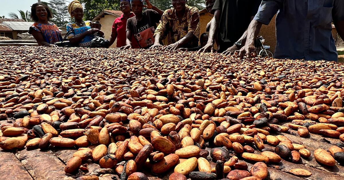 Kakaopreis-sinkt-Wird-Schokolade-jetzt-wieder-billiger-