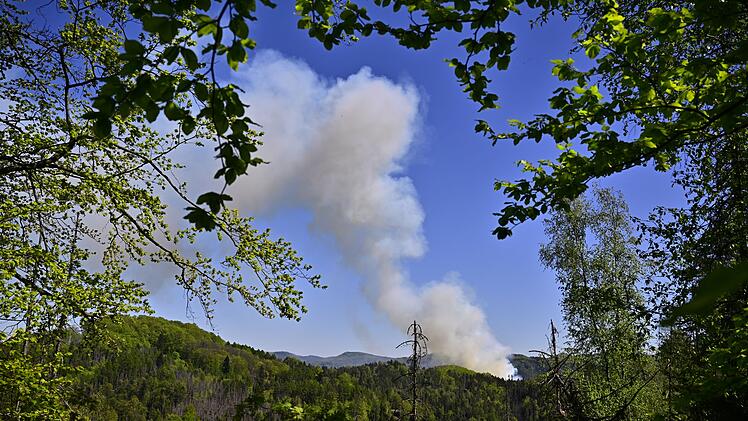Waldbrand im Nationalpark B&ouml;hmische Schweiz