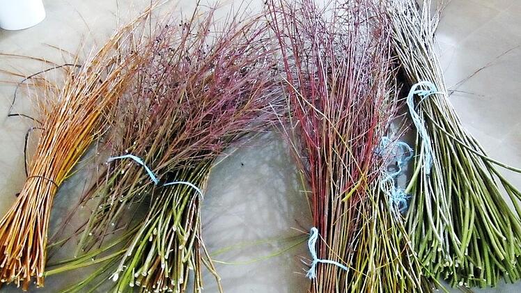 Die "Zutaten" für eine Flechtpyramide:  bunte Weidenvielfalt (die Ruten vorne quer sind die Aufsteller); hinten das zweite von links ist das Ziergewächs Hartriegel