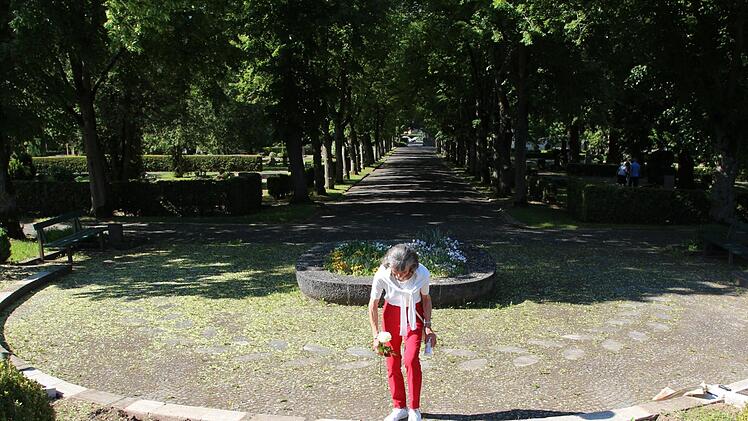 Ragnhild Lengenfelder sucht den Namen ihres gefallenen Schwiegervaters auf einer der neuen Gedenktafeln auf dem Parkfriedhof.Johannes Schlereth
