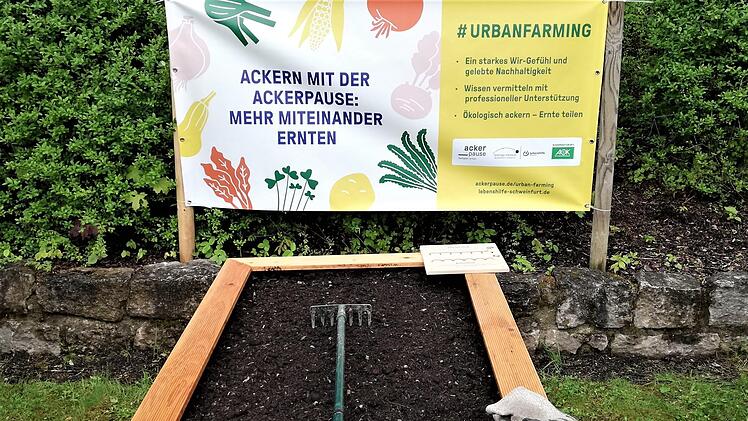 Die Hochbeete