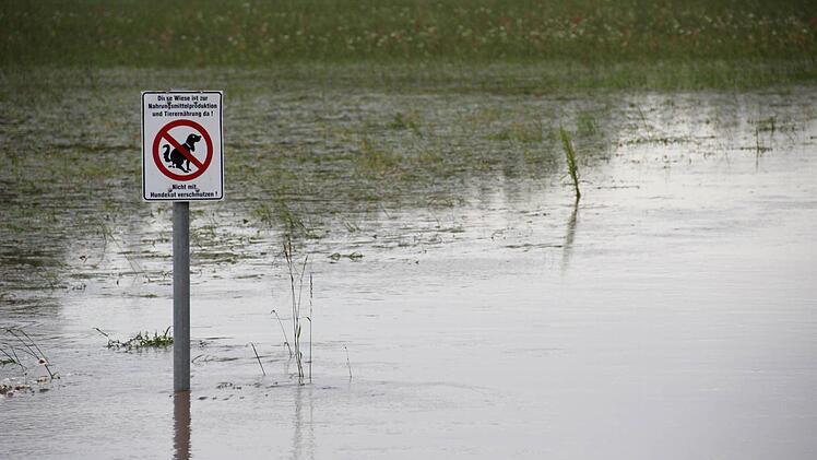 Hundewetter? Allenfalls für Seehunde geeignet: eine überflutete Wiese bei Ebern. Fotos: Eckehard Kiesewetter (2), Alfons Beuerlein (3), René Ruprecht (3)