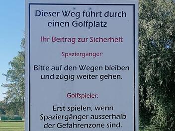 Bamberg: Sportler, Spazierg&auml;nger und Hunde - wie das Miteinander im Hauptsmoorwald funktionieren kann