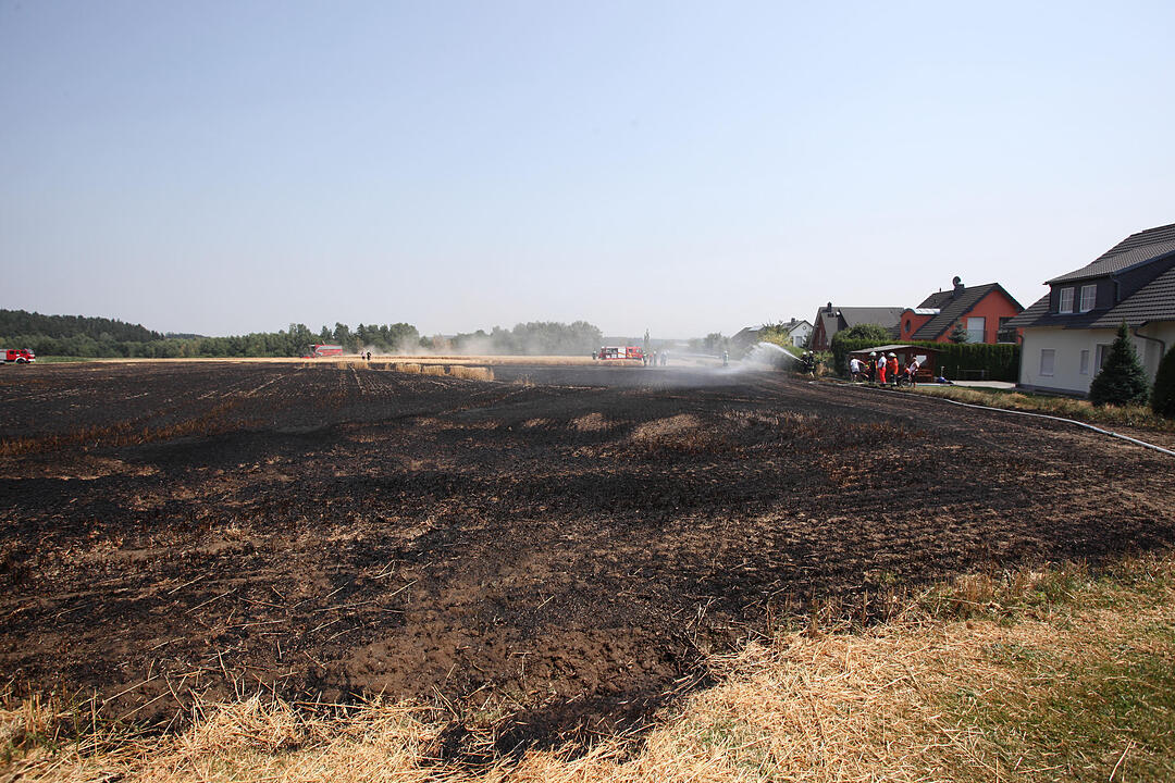 Feldbrand drohte auf Wohngebiet überzugreifen