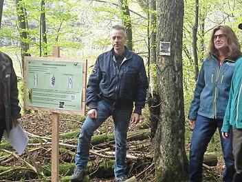 Zum Start des Kooperationsprogramms "100 000 Biotopbäume" trafen sich (von links) der Leiter des Staatsforstbetriebs, Ulrich Mergner, Thomas Köhler vom Verband "Artenschutz in Franken", Revierleiterin Regina Berthold und Marian Erhard, der ein freiwilliges ökologisches Jahr absolviert, an einem von zehn Biotopbaum-Info-Hotspots im Wald.