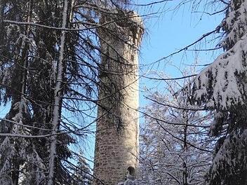 Ein Wahrzeichen ist der Aussichtsturm auf dem Muppberg, um den sich Bergfreunde sorgen. Foto: Dieter Seyfarth