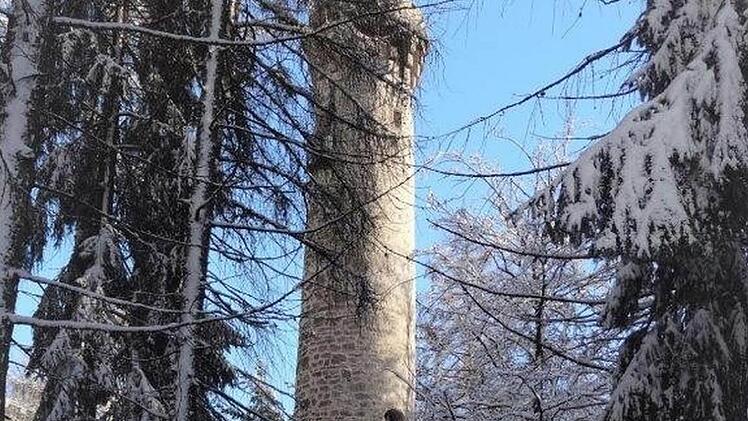 Ein Wahrzeichen ist der Aussichtsturm auf dem Muppberg, um den sich Bergfreunde sorgen. Foto: Dieter Seyfarth