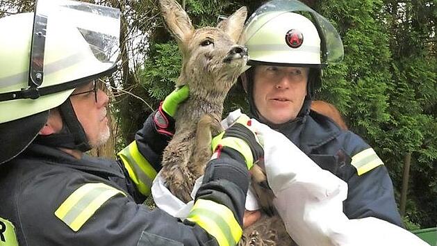 Die beiden Rehe waren in den H&auml;nden der Feuerwehrleute gut aufgehoben. Fotos: Stefan Wicklein