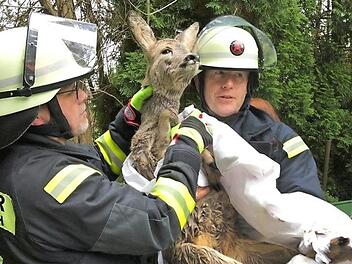 Die beiden Rehe waren in den Händen der Feuerwehrleute gut aufgehoben. Fotos: Stefan Wicklein
