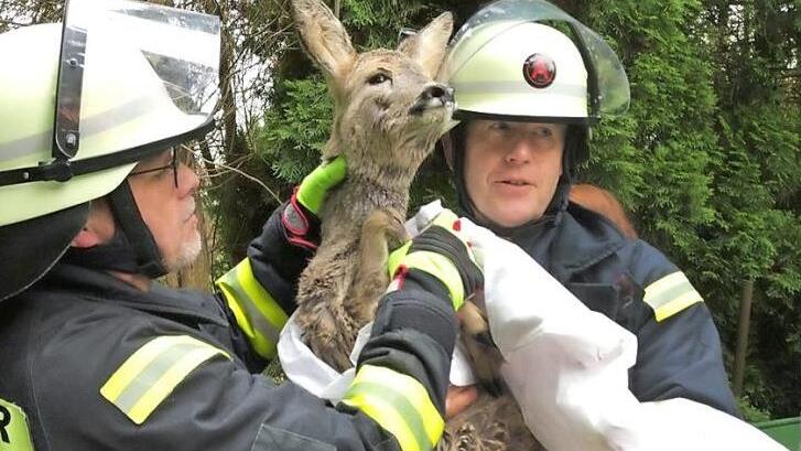 Die beiden Rehe waren in den Händen der Feuerwehrleute gut aufgehoben. Fotos: Stefan Wicklein