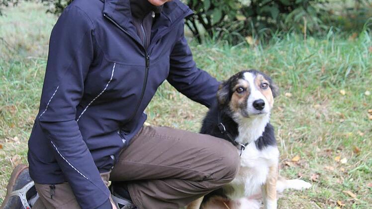 Iris Pestinger und ihr Border Collie, Tweed hatten ein Heimspiel: Tweed erreichte in Klasse 1 den ersten Platz.