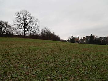 Das künftige Baugebiet "Binzig" Foto: Franz Galster