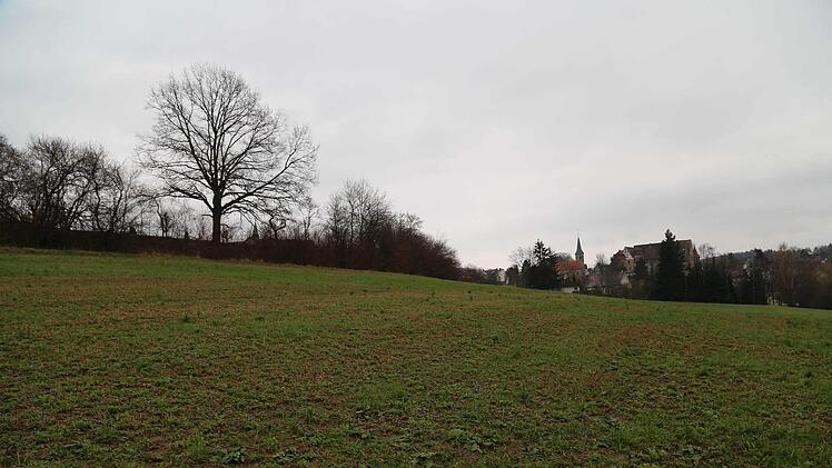 Das künftige Baugebiet "Binzig" Foto: Franz Galster