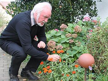Zinnien sind aufgrund ihrer orangenen Blüten besonders schön anzusehen. Das Bild zeigt Jupp Schröder mit den attraktiven Dauerblühern. Foto: Stephan Stöckel