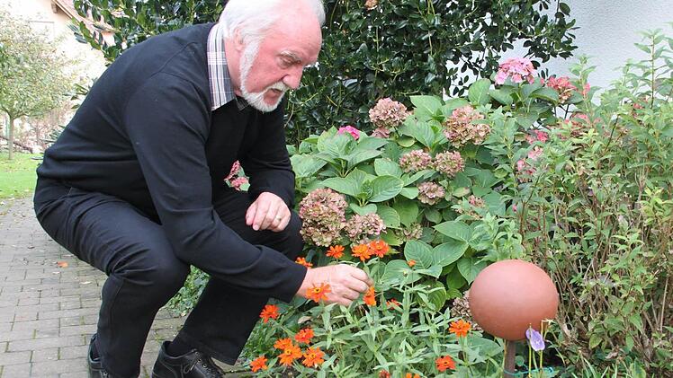 Zinnien sind aufgrund ihrer orangenen Blüten besonders schön anzusehen. Das Bild zeigt Jupp Schröder mit den attraktiven Dauerblühern. Foto: Stephan Stöckel