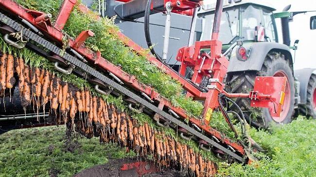 Immer mehr Bio-Lebensmittel landen im Einkaufswagen. Auch der Ökolandbau im Dienstgebiet des AELF Fürth hat inzwischen kräftig zugenommen.