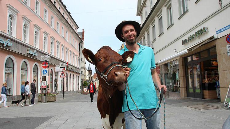 Milchbauer Jürgen Förg aus Schondra demonstriert mit Kuh Isabei in der Bad Kissinger Fußgängerzone.  Foto: Benedikt Borst