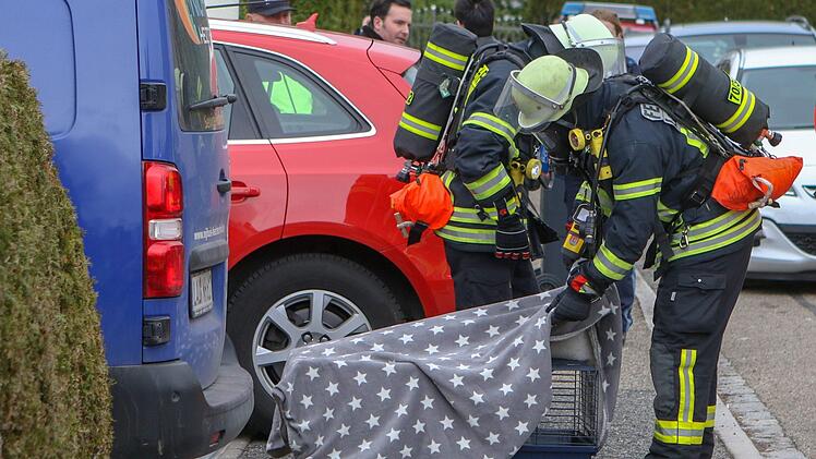 Foto: Die Feuerwehr musste beim Wohnhausbrand in Lauf an der Pegnitz sechs Tiere vor den Flammen retten. Das Feuer hatte auch auf die Fassade des Hauses übergegriffen. Foto: News 5 / Friedrich