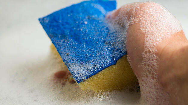 Alte Sp&uuml;lschw&auml;mme blo&szlig; nicht wegschmei&szlig;en