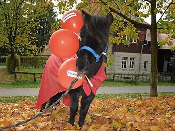 Das FT-Bamberg-Facebook-Maskottchen Siggi  Foto: Ronald Rinklef