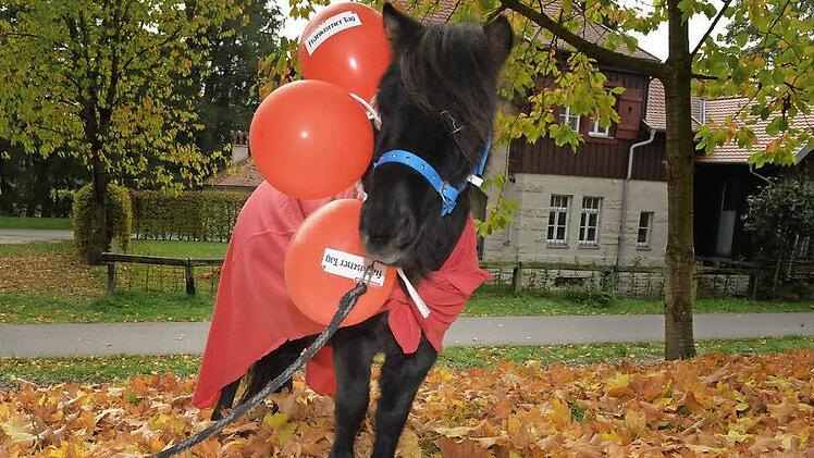 Das FT-Bamberg-Facebook-Maskottchen Siggi  Foto: Ronald Rinklef