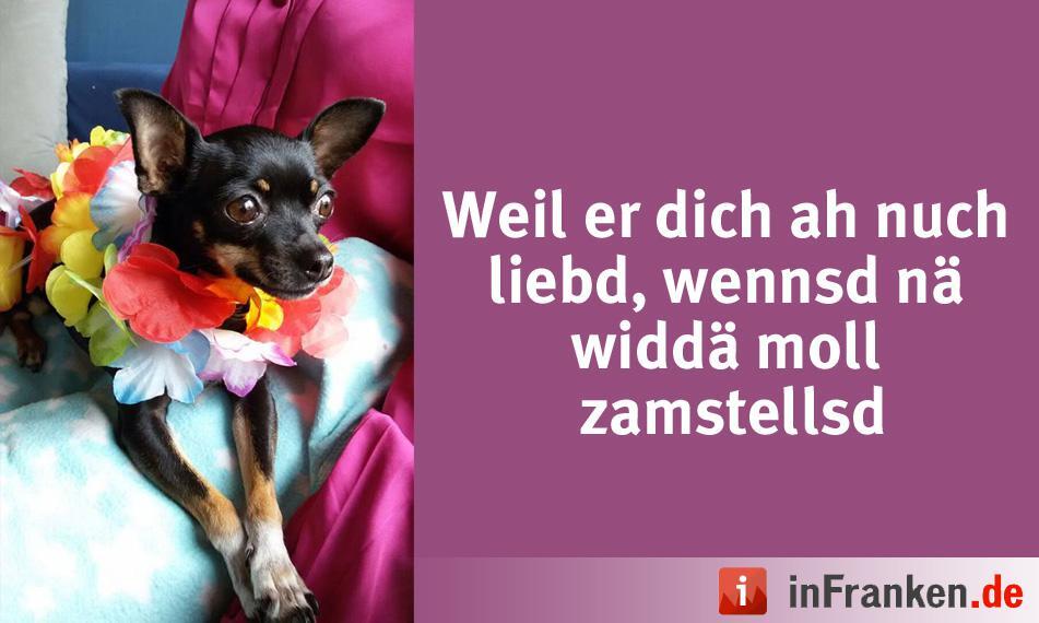 Foto: Nadja Holzmann