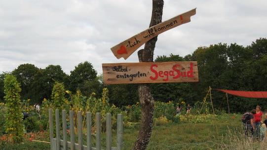 Impressionen vom Selbsterntegarten Süd. Foto: Andrea Spörlein