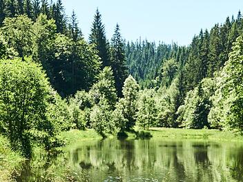 Wie geht es mit dem möglichen Nationalpark Frankenwald weiter. Es gibt viele Gründe dafür und dagegen, die momentan in die Diskussion einfließen. Foto: Frankenwald-Tourismus/Marco Felgenhauer