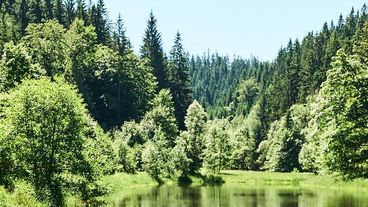 Wie geht es mit dem möglichen Nationalpark Frankenwald weiter. Es gibt viele Gründe dafür und dagegen, die momentan in die Diskussion einfließen. Foto: Frankenwald-Tourismus/Marco Felgenhauer