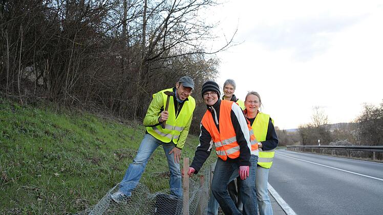 Helfen stellen bei Westheim einen Krötenzaun auf.  Foto: Assmann