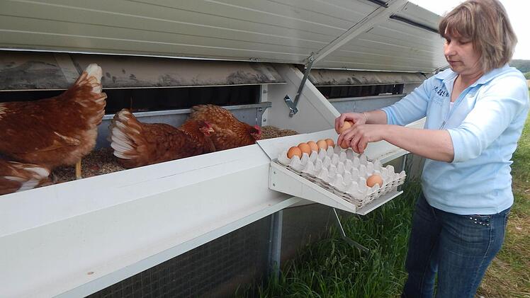 "Ist das Huhn glücklich, schmecken die Eier besser", ist sich Klara Firnkäs sicher. Mit ihrem Hühnermobil ist die Familie ein echter Vorreiter. Foto: Mona Lisa Eigenfeld