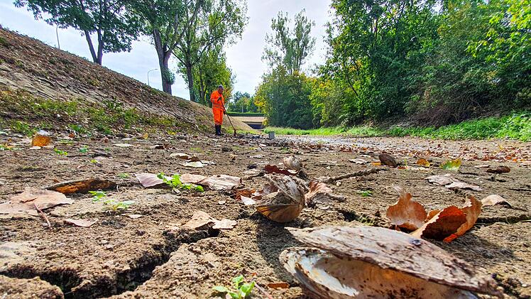 Ausgetrockneter Sendelbach bei Bamberg Foto: Sebastian Schanz