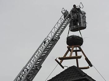 Mithilfe der Drehleiter der Feuerwehr Bad Rodach wurde das Storchennest auf den Schlauchturm gehievt. Foto: Carsten Höllein