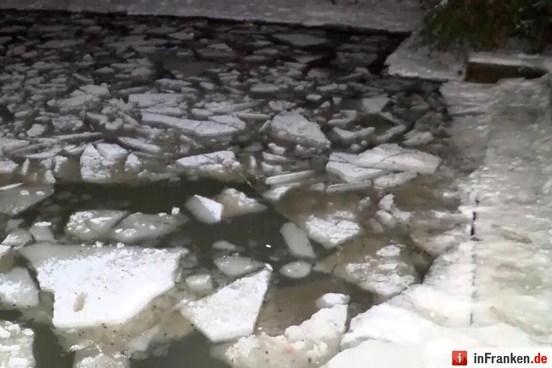 Tragischer Eisunfall in Bayreuth: Hund und Frauchen brechen in Weiher ein