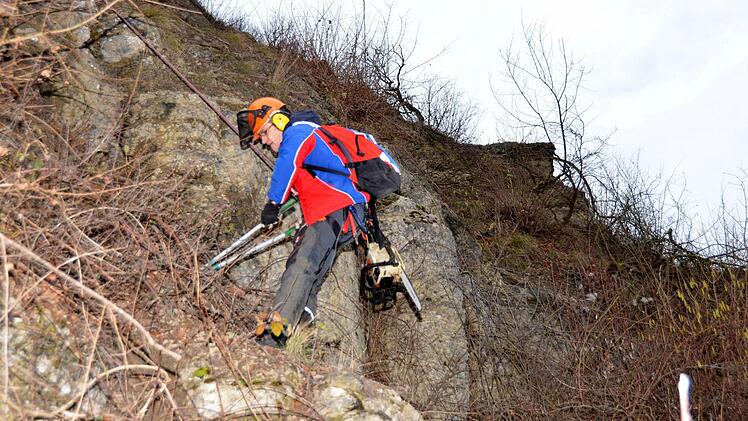 Abenteuerlich: Bergwachtler entbuschen die Falkenwand bei Elfershausen.  Foto: Peter Rauch/Archiv