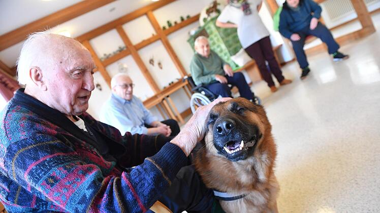 Therapiehund Aramis bei den Senioren im Kulmbacher WohnstiftFoto: Ronald Rinklef