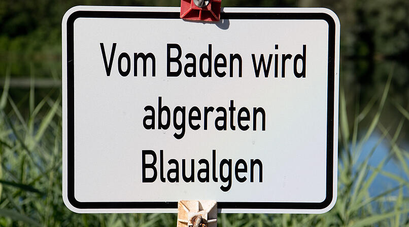 Badeverbot in Kulmbach wegen Blaualgen
