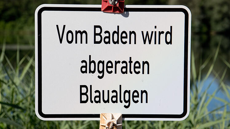 Baunach: Landratsamt Bamberg warnt vor Blaualgen in Badesee