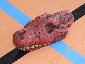 Der Spielball "Jugg" ist ein Kunststoffhundeschädel. Foto: Mathias Erlwein