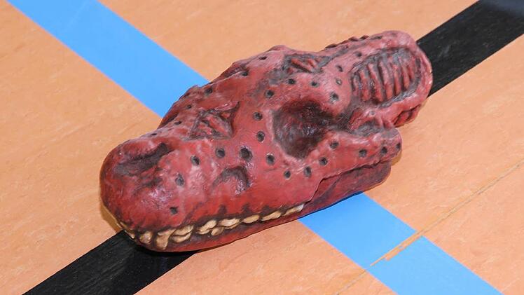 Der Spielball "Jugg" ist ein Kunststoffhundeschädel. Foto: Mathias Erlwein