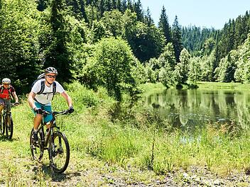 Der Frankenwald soll nach dem Nationalpark-Aus nicht leer ausgehen. Foto: Frankenwald-Tourismus/M. Felgenhauer