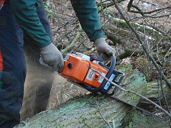 Drei Männer wollten Brennholz für eine Jagdhütte machen. Für einen von ihnen endete der Ausflug in den Wald tödlich, für einen anderen vor Gericht. Symbolbild: Archiv/Günter Flegel