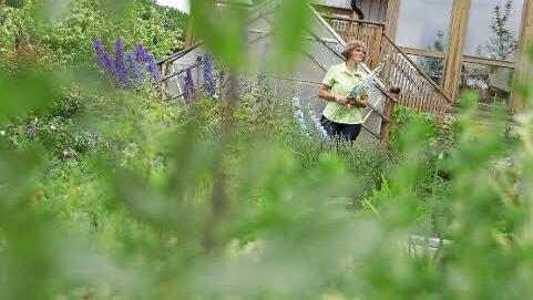 Margit Schneider pflückt Blumen.
