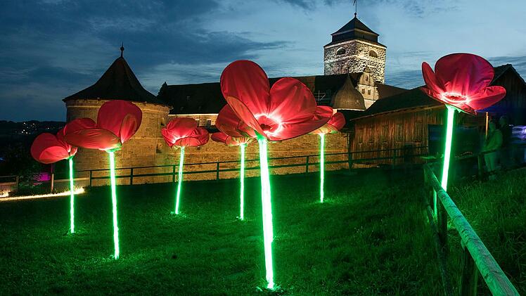 Ausflug, Kronach Leuchtet, Licht, Festival, Fest, Freizeit, Erlebnis, Feier, Feierlichkeit, Kronach, Lichtfestival, Lichtshow, Kunst, Kunstnacht, Kunstausstellung, Künstler, Ausstellung