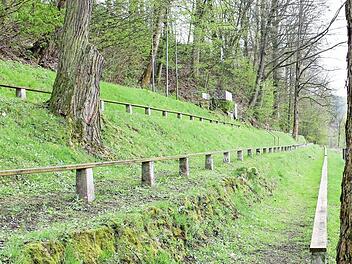 Zunächst war die Hammermühle nur ein Sportplatz. Vor knapp 70 Jahren wurde die Naturtribüne angelegt.  Fotos: Martin Kreklau