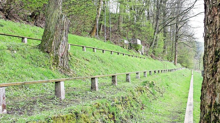 Zunächst war die Hammermühle nur ein Sportplatz. Vor knapp 70 Jahren wurde die Naturtribüne angelegt.  Fotos: Martin Kreklau