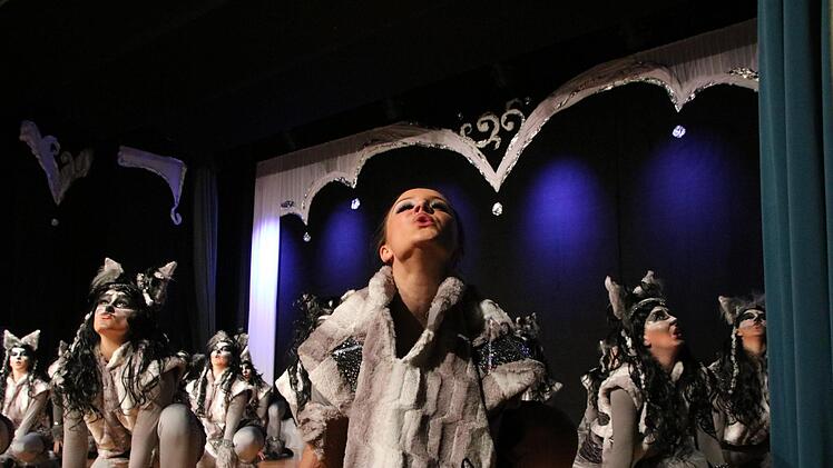 Prunksitzung 2019 in Stadtsteinach. Foto: Jürgen Gärtner