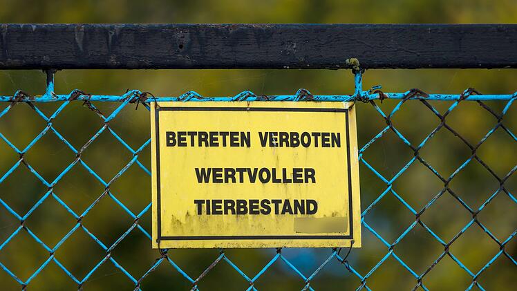 Vogelgrippe - Neuhardenberg
